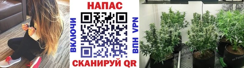 Наркота Новоалтайск Кокаин  Меф  A PVP  ГАШИШ 