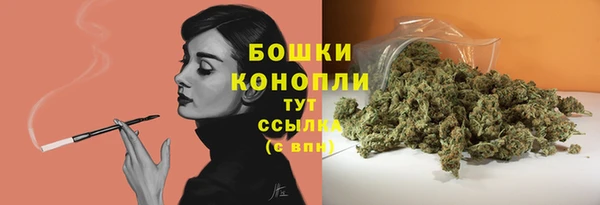 шишки Баксан