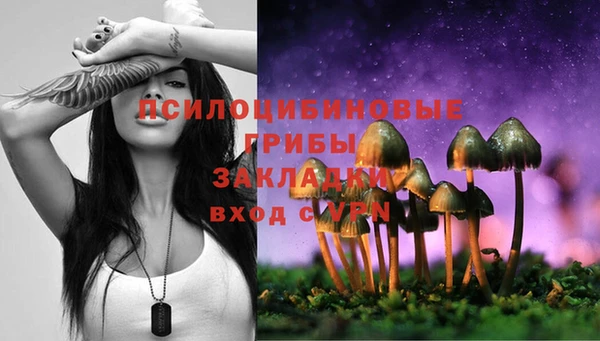 марки lsd Белоозёрский